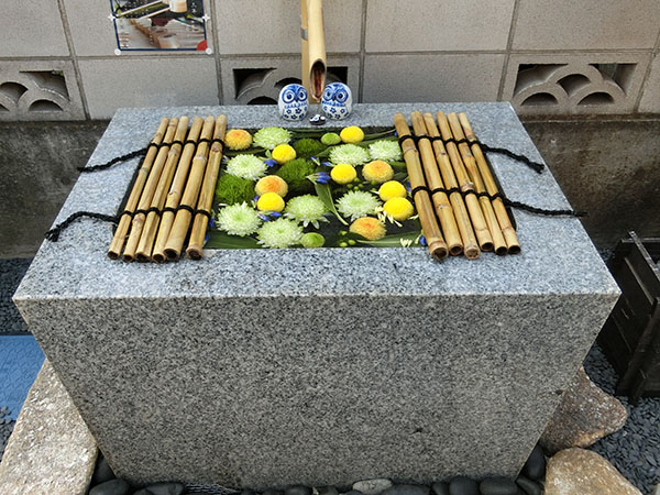 小石川大神宮の花手水