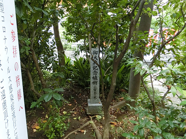 f:id:inudenchi:20211031162624j:plain