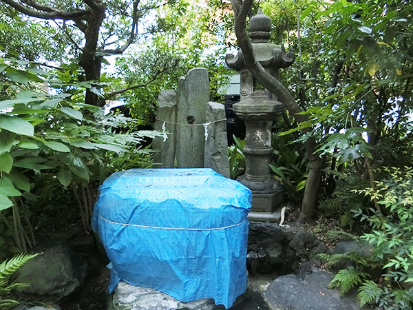 f:id:inudenchi:20211031162640j:plain