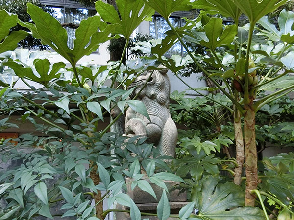 f:id:inudenchi:20211031162715j:plain