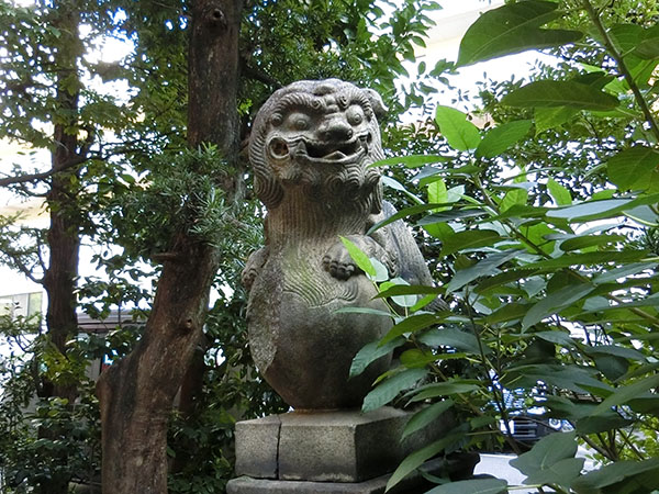 f:id:inudenchi:20211031163301j:plain