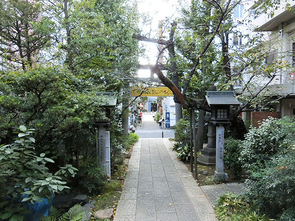 f:id:inudenchi:20211031163408j:plain