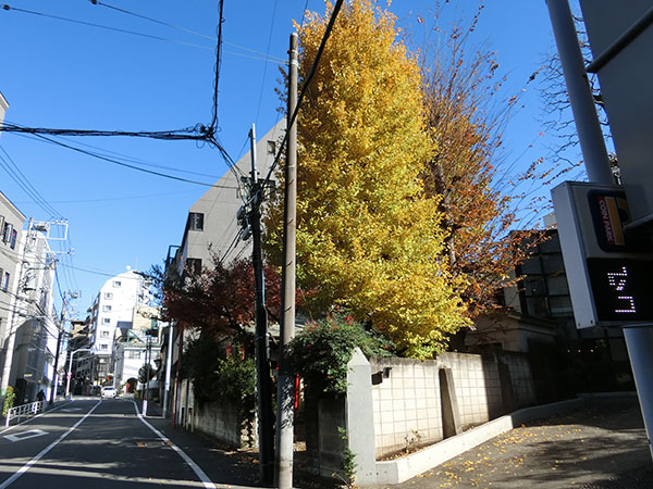f:id:inudenchi:20211220214357j:plain
