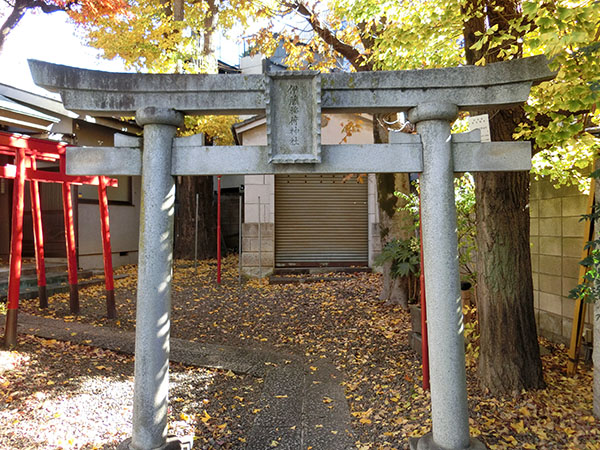 f:id:inudenchi:20211220214425j:plain