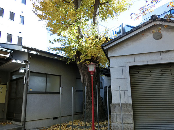 f:id:inudenchi:20211220214631j:plain