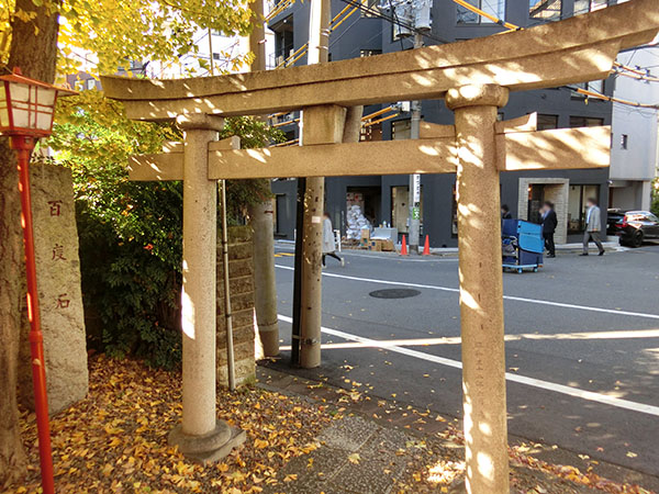 f:id:inudenchi:20211220214753j:plain