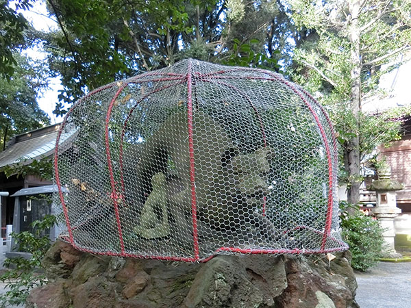 大稲荷神社の神狐