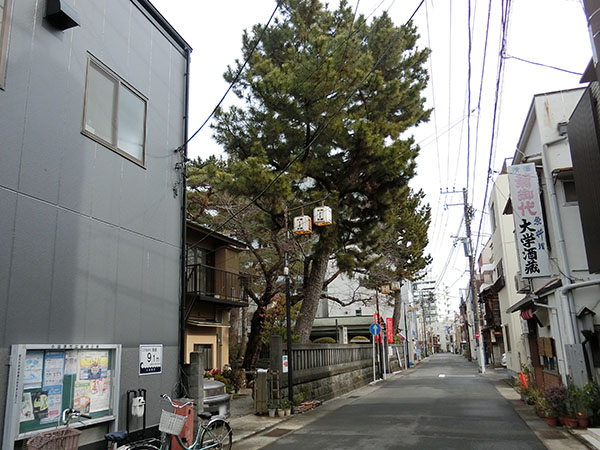 f:id:inudenchi:20220130190523j:plain