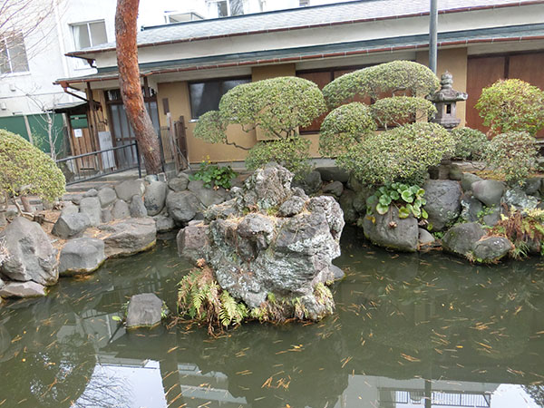 f:id:inudenchi:20220130190749j:plain