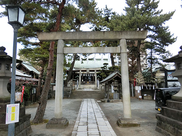 f:id:inudenchi:20220130190758j:plain