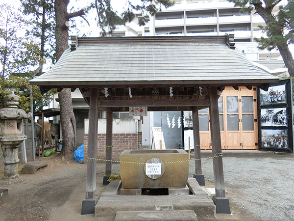 f:id:inudenchi:20220130191038j:plain