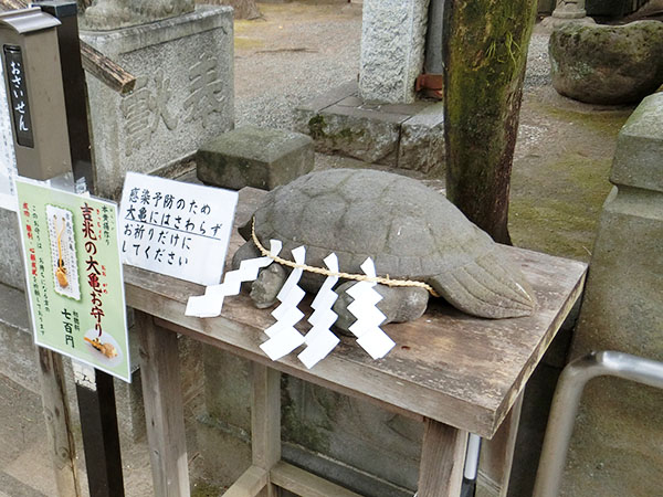 f:id:inudenchi:20220130191134j:plain