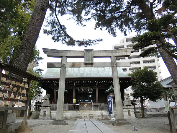 f:id:inudenchi:20220130191252j:plain