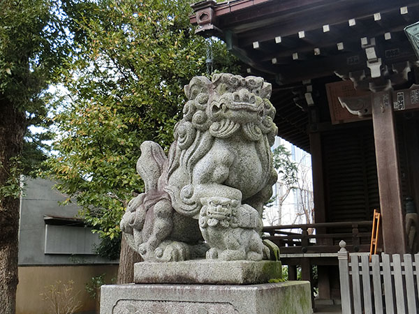 f:id:inudenchi:20220130191543j:plain