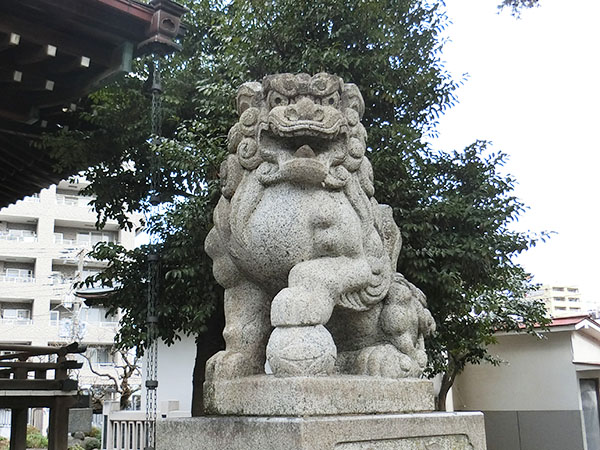 f:id:inudenchi:20220130191555j:plain