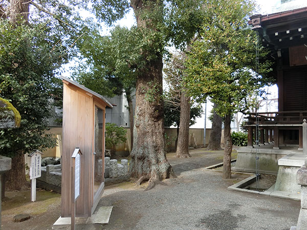 f:id:inudenchi:20220130191710j:plain