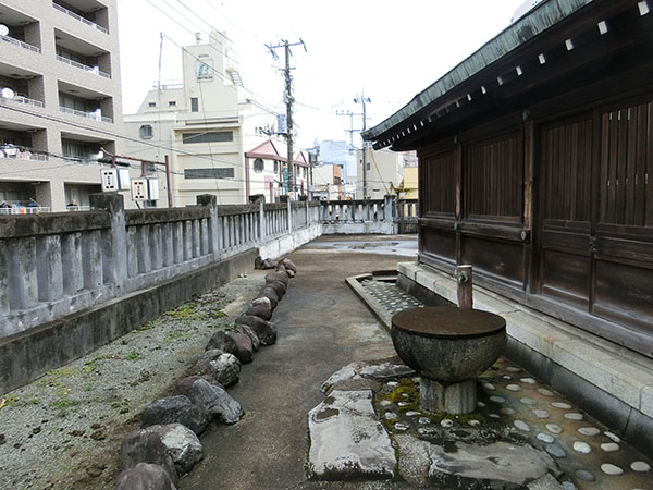 f:id:inudenchi:20220130191857j:plain