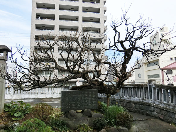 f:id:inudenchi:20220130191907j:plain