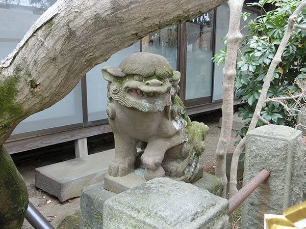 f:id:inudenchi:20220130192009j:plain