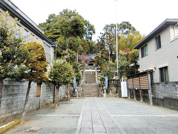 f:id:inudenchi:20220202135911j:plain