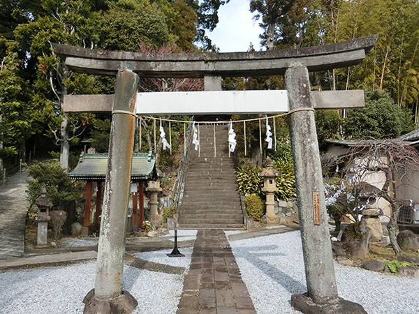 f:id:inudenchi:20220202140039j:plain