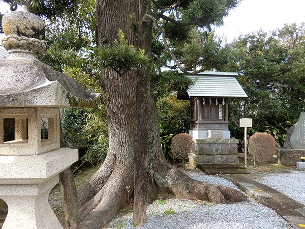 f:id:inudenchi:20220202140056j:plain