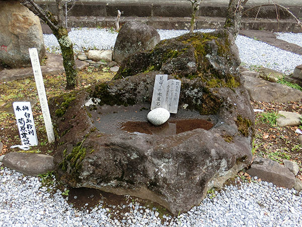 f:id:inudenchi:20220202140144j:plain