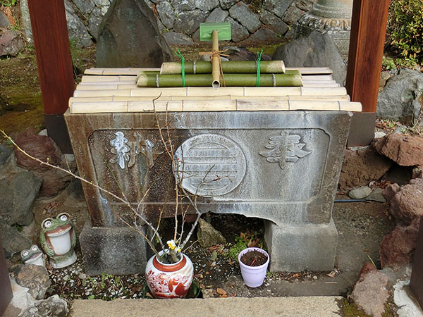 f:id:inudenchi:20220202140215j:plain