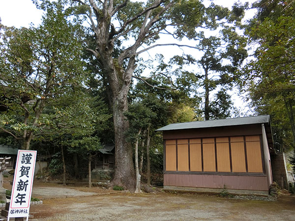 f:id:inudenchi:20220202140301j:plain