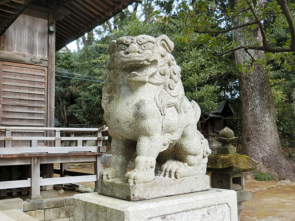 f:id:inudenchi:20220202140436j:plain