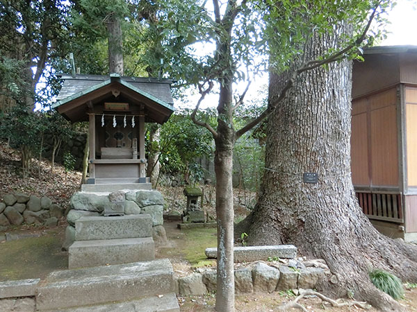 f:id:inudenchi:20220202140859j:plain