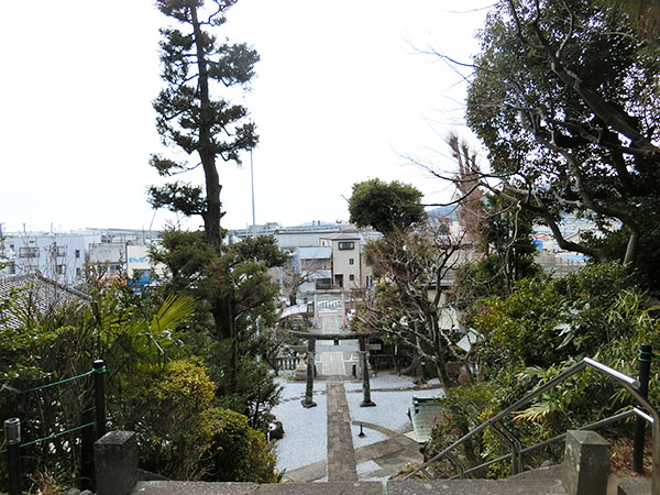 f:id:inudenchi:20220202140930j:plain