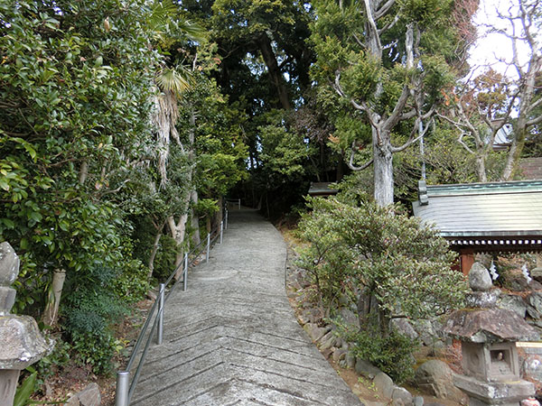 f:id:inudenchi:20220202141016j:plain