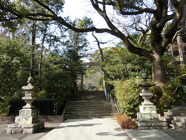 f:id:inudenchi:20220202154903j:plain