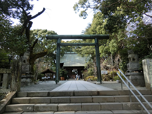 f:id:inudenchi:20220202154913j:plain