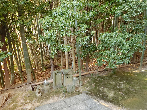 f:id:inudenchi:20220210174522j:plain