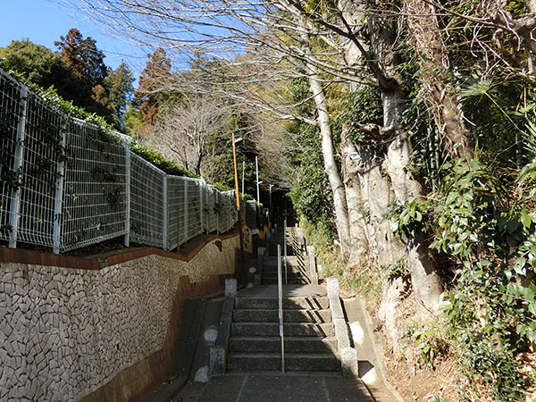 f:id:inudenchi:20220211134815j:plain