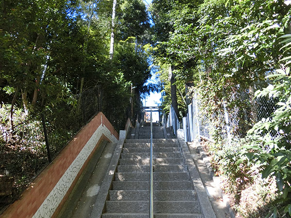 f:id:inudenchi:20220211134900j:plain