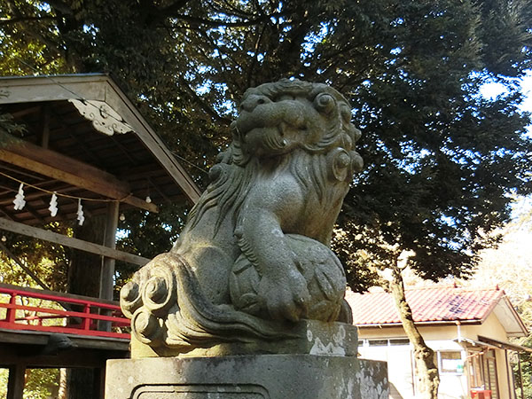 月読神社の狛犬
