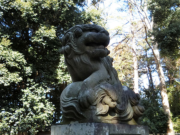 f:id:inudenchi:20220211135034j:plain