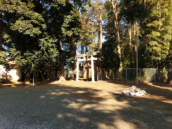 f:id:inudenchi:20220211135540j:plain