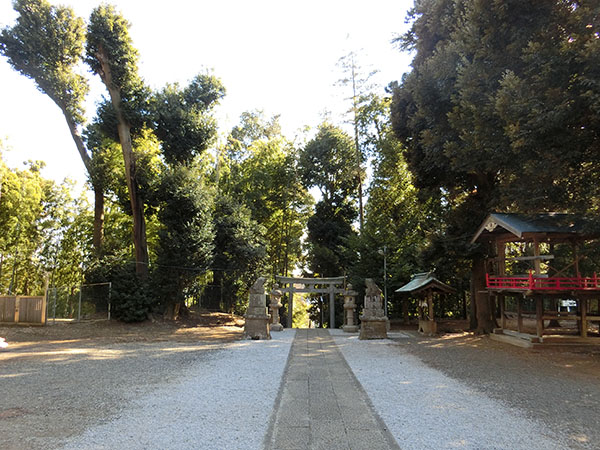 f:id:inudenchi:20220211135620j:plain