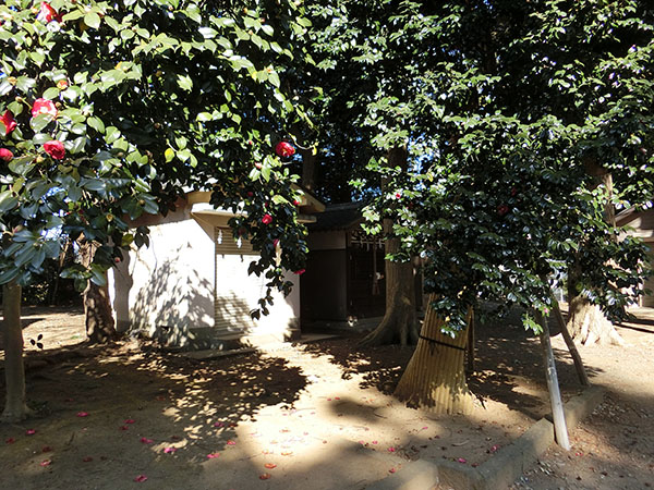 f:id:inudenchi:20220211135655j:plain