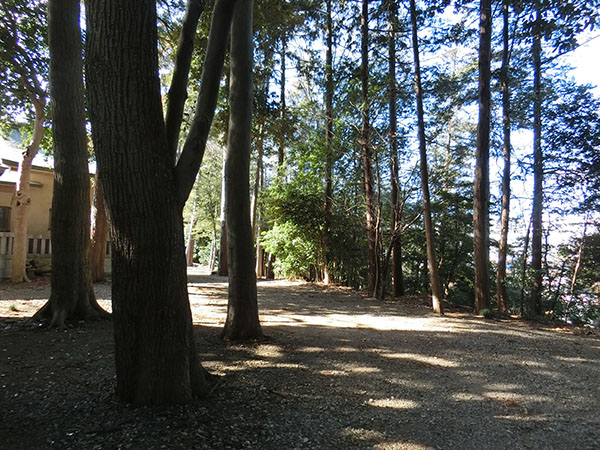 f:id:inudenchi:20220211135723j:plain