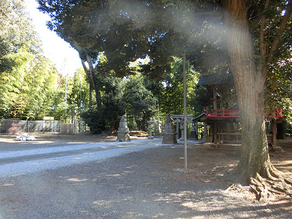 f:id:inudenchi:20220211135736j:plain