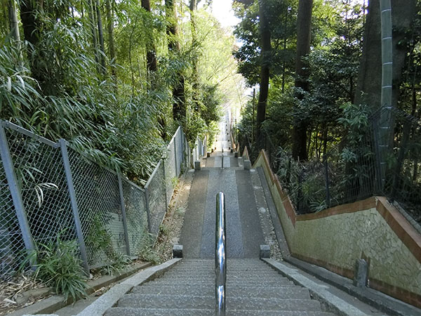 f:id:inudenchi:20220211135745j:plain