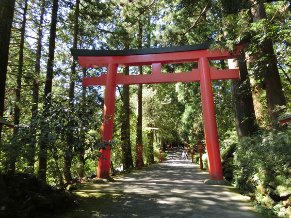 f:id:inudenchi:20220215145322j:plain