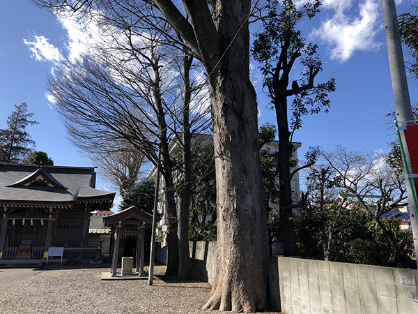 f:id:inudenchi:20220227221636j:plain