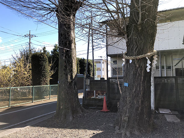 f:id:inudenchi:20220227221759j:plain