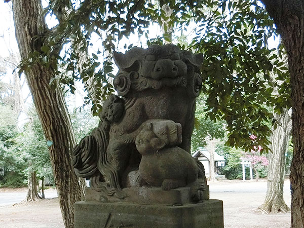 小金井神社の狛犬